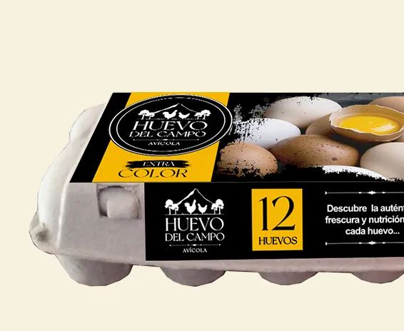 Estuche de 12 huevos Huevo del Campo