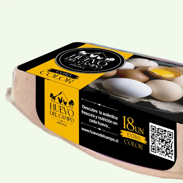 Estuche de 18 huevos Huevo del Campo