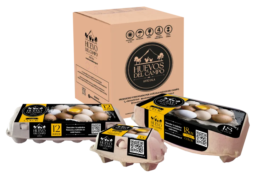 Caja y estuches de huevos Huevo del Campo