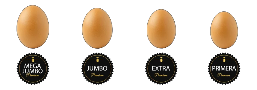 Calibres: Mega Jumbo, Jumbo, Extra y Primera