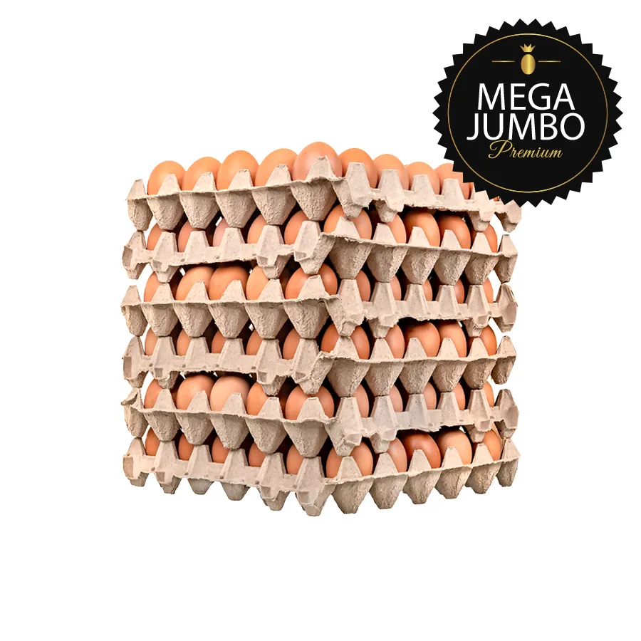 Caja MEGA JUMBO – 100 unidades